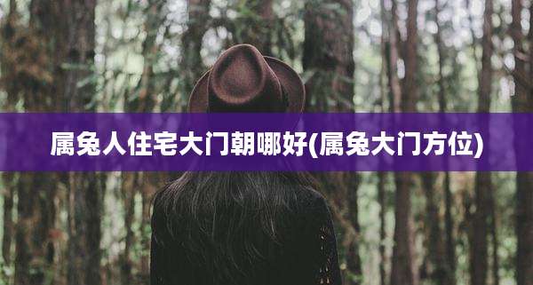 属兔人住宅大门朝哪好(属兔大门方位)