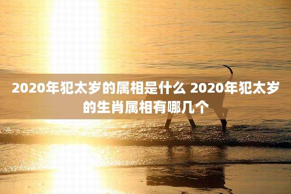 2020年犯太岁的属相是什么 2020年犯太岁的生肖属相有哪几个