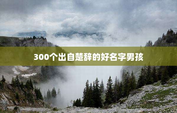 300个出自楚辞的好名字男孩