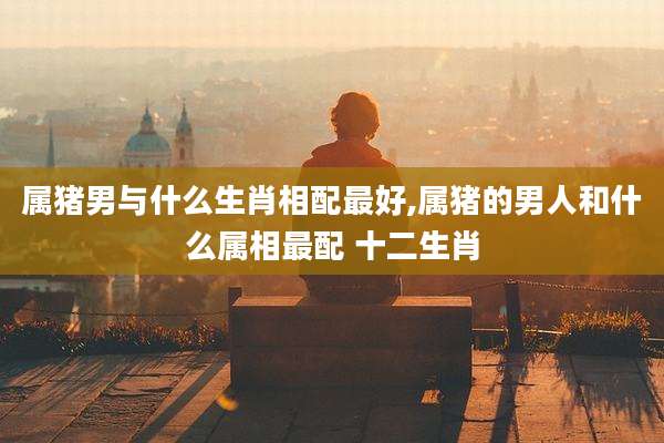 属猪男与什么生肖相配最好,属猪的男人和什么属相最配 十二生肖