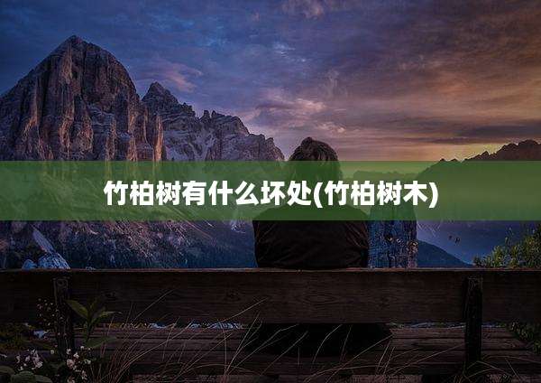 竹柏树有什么坏处(竹柏树木)