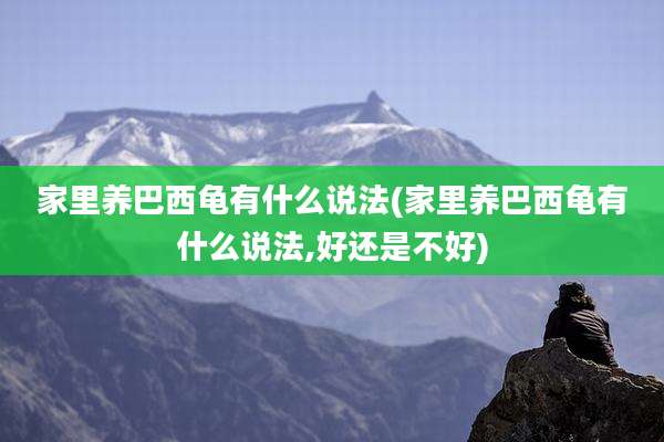 家里养巴西龟有什么说法(家里养巴西龟有什么说法,好还是不好)
