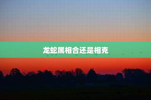 龙蛇属相合还是相克