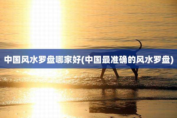 中国风水罗盘哪家好(中国最准确的风水罗盘)