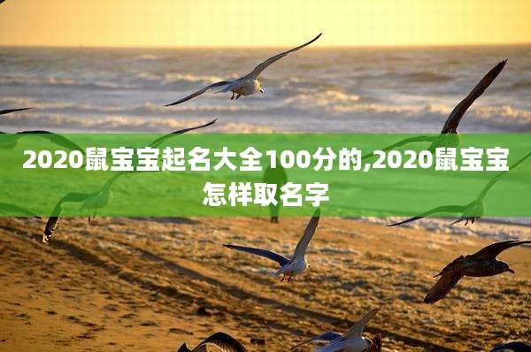 2020鼠宝宝起名大全100分的,2020鼠宝宝怎样取名字