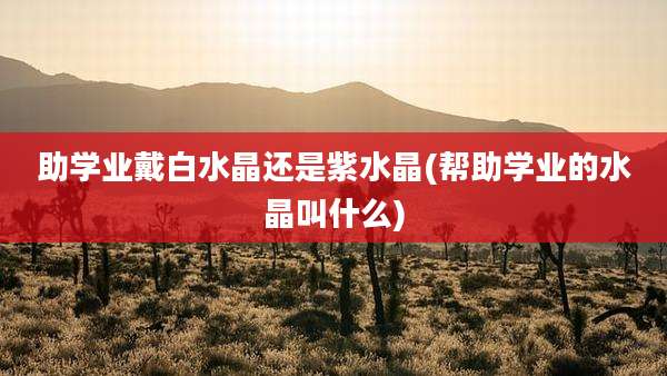 助学业戴白水晶还是紫水晶(帮助学业的水晶叫什么)