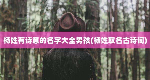 杨姓有诗意的名字大全男孩(杨姓取名古诗词)