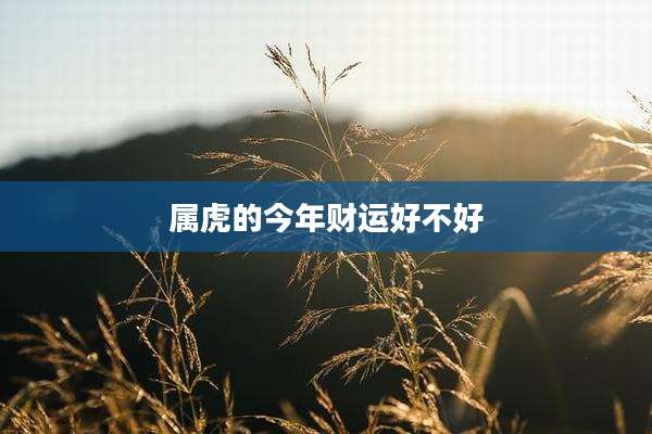 属虎的今年财运好不好