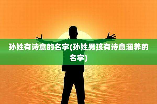 孙姓有诗意的名字(孙姓男孩有诗意涵养的名字)