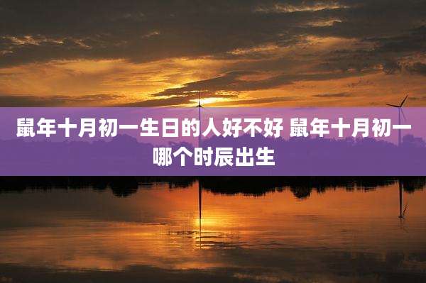 鼠年十月初一生日的人好不好 鼠年十月初一哪个时辰出生