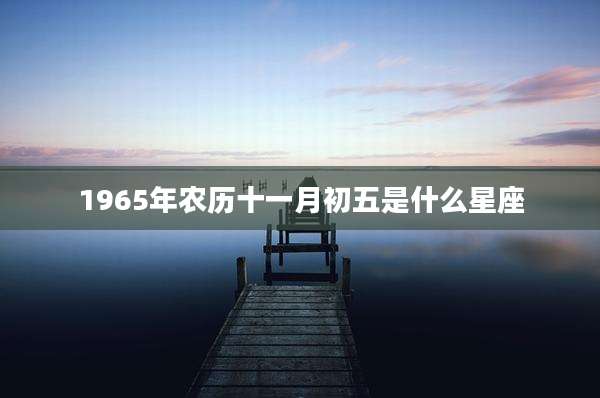 1965年农历十一月初五是什么星座