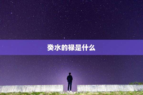 癸水的禄是什么