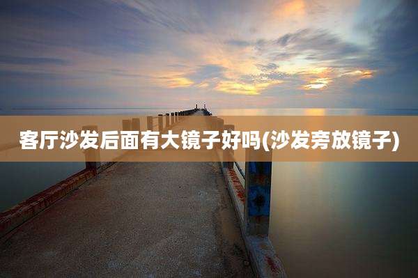 客厅沙发后面有大镜子好吗(沙发旁放镜子)