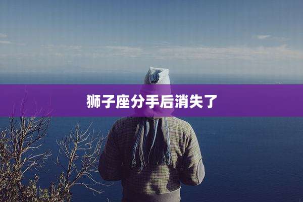 狮子座分手后消失了