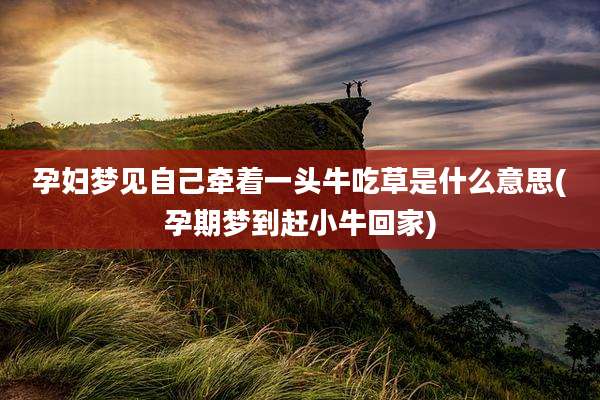 孕妇梦见自己牵着一头牛吃草是什么意思(孕期梦到赶小牛回家)
