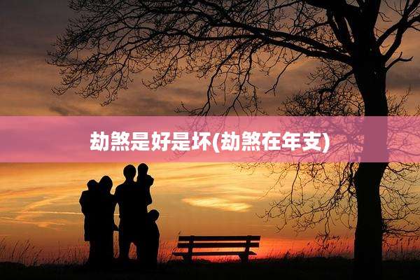 劫煞是好是坏(劫煞在年支)