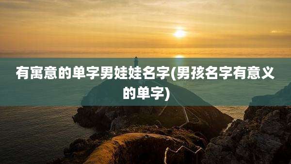 有寓意的单字男娃娃名字(男孩名字有意义的单字)