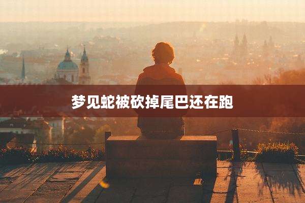 梦见蛇被砍掉尾巴还在跑