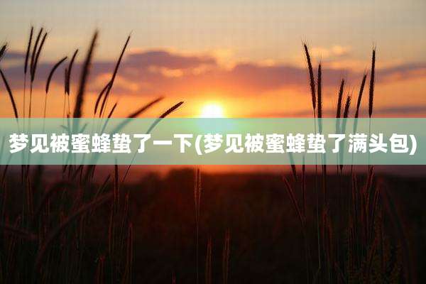梦见被蜜蜂蛰了一下(梦见被蜜蜂蛰了满头包)