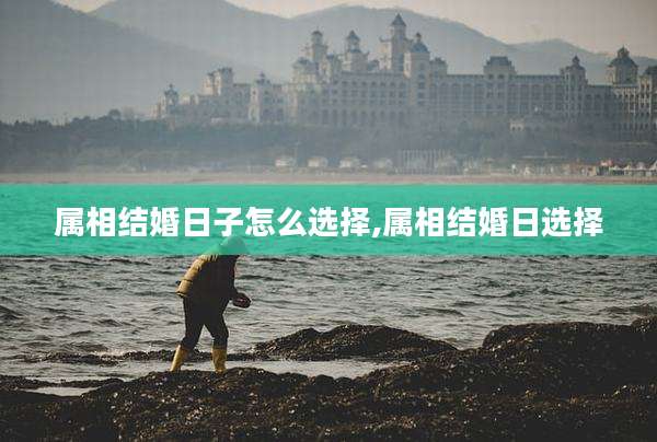 属相结婚日子怎么选择,属相结婚日选择