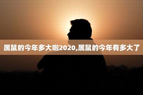 属鼠的今年多大啦2020,属鼠的今年有多大了
