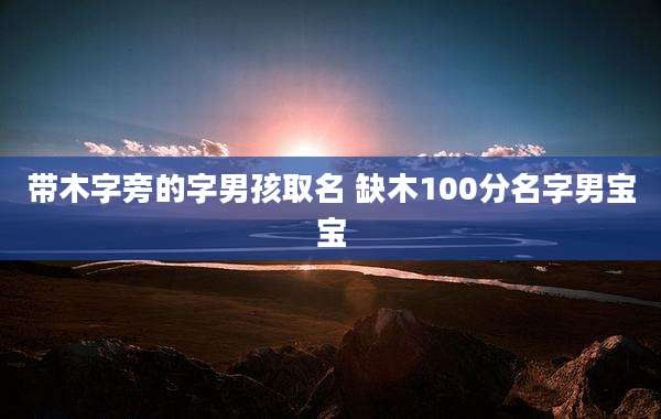 带木字旁的字男孩取名 缺木100分名字男宝宝