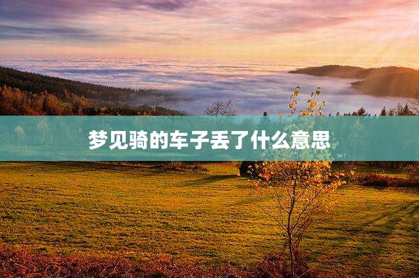 梦见骑的车子丢了什么意思