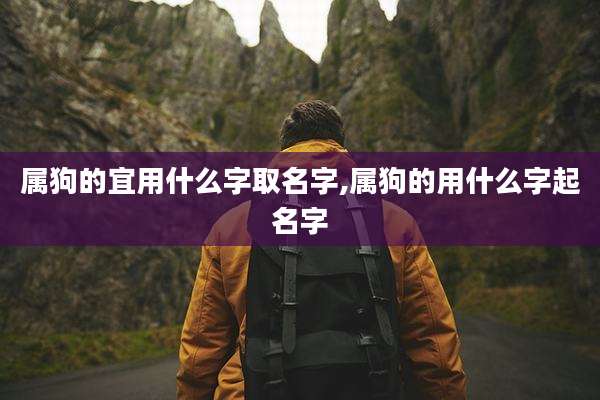 属狗的宜用什么字取名字,属狗的用什么字起名字