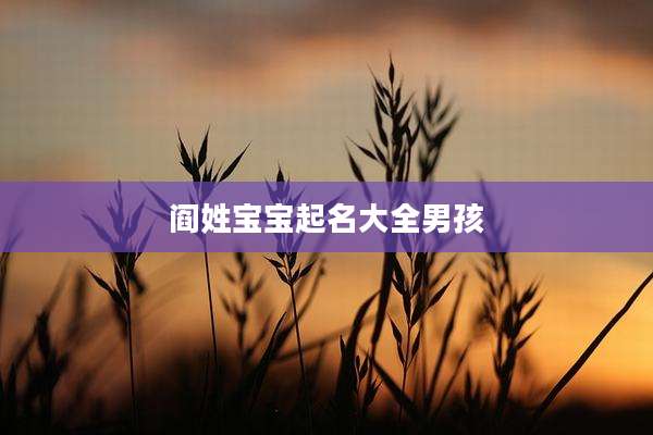 阎姓宝宝起名大全男孩