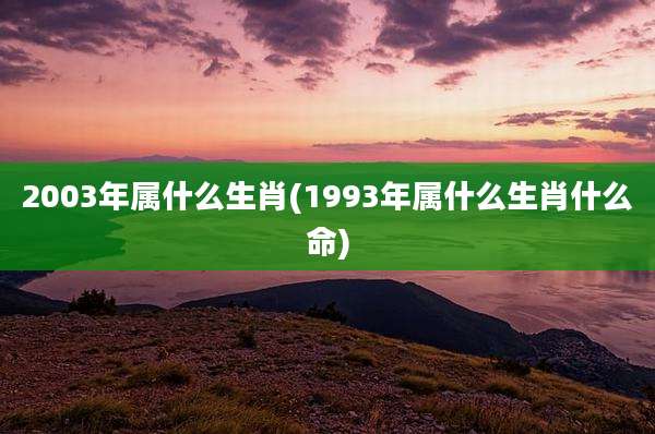 2003年属什么生肖(1993年属什么生肖什么命)