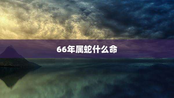 66年属蛇什么命