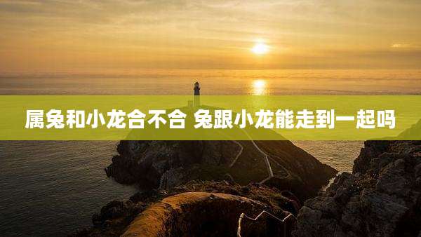 属兔和小龙合不合 兔跟小龙能走到一起吗