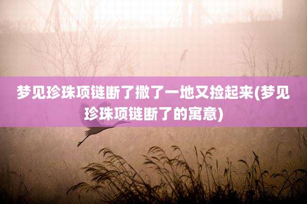 梦见珍珠项链断了撒了一地又捡起来(梦见珍珠项链断了的寓意)