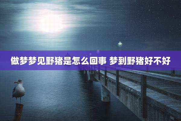 做梦梦见野猪是怎么回事 梦到野猪好不好