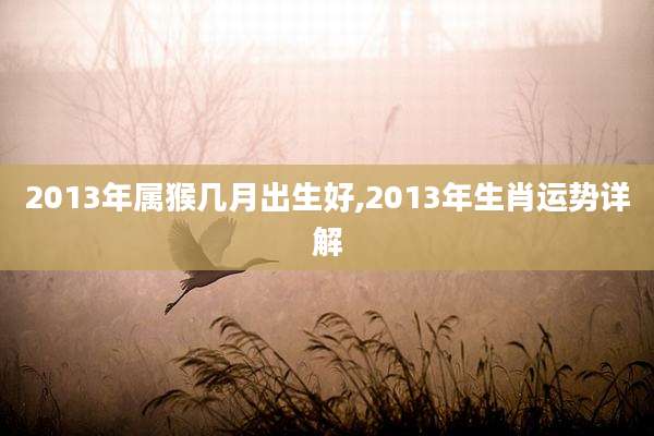 2013年属猴几月出生好,2013年生肖运势详解