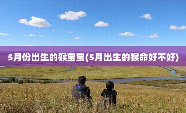 5月份出生的猴宝宝(5月出生的猴命好不好)