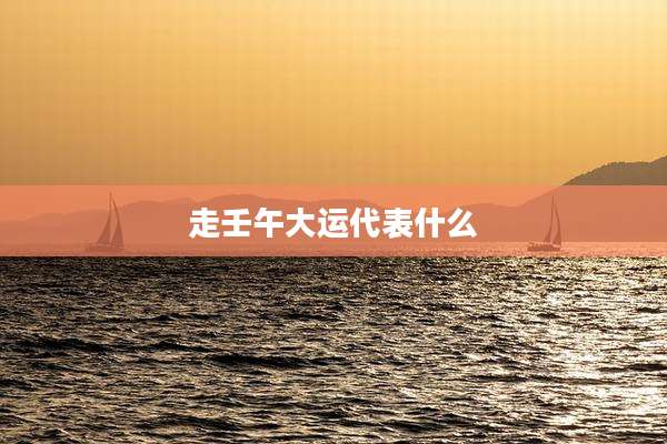 走壬午大运代表什么