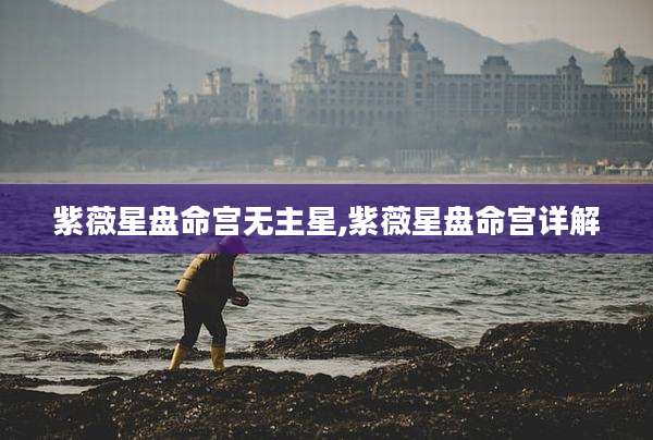 紫薇星盘命宫无主星,紫薇星盘命宫详解