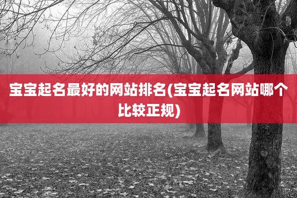 宝宝起名最好的网站排名(宝宝起名网站哪个比较正规)