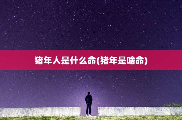 猪年人是什么命(猪年是啥命)