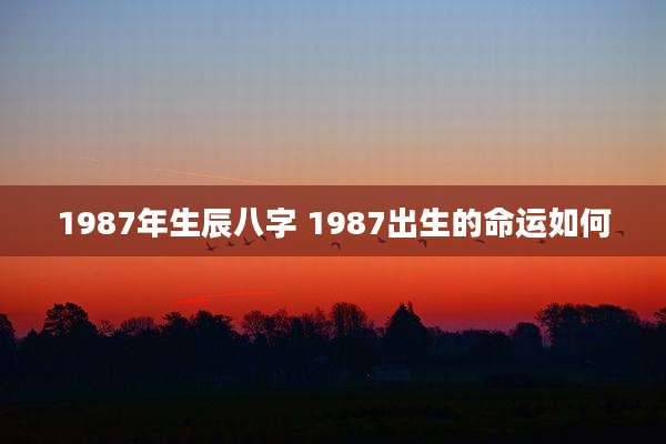 1987年生辰八字 1987出生的命运如何