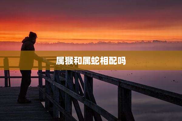 属猴和属蛇相配吗