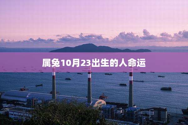 属兔10月23出生的人命运
