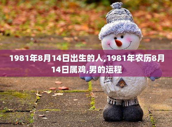 1981年8月14日出生的人,1981年农历8月14日属鸡,男的运程