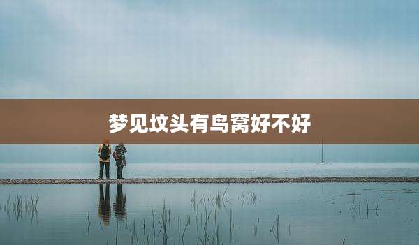 梦见坟头有鸟窝好不好
