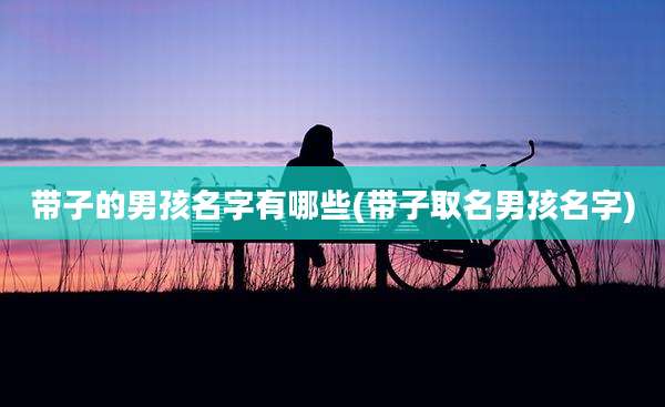 带子的男孩名字有哪些(带子取名男孩名字)