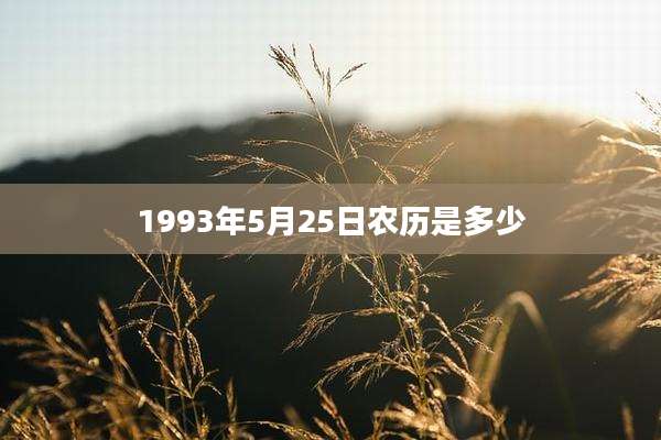 1993年5月25日农历是多少
