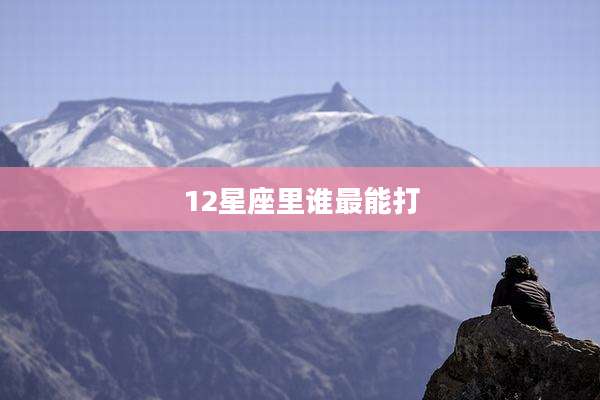 12星座里谁最能打