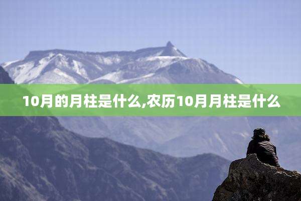 10月的月柱是什么,农历10月月柱是什么