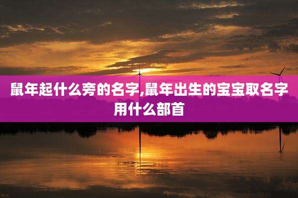 鼠年起什么旁的名字,鼠年出生的宝宝取名字用什么部首